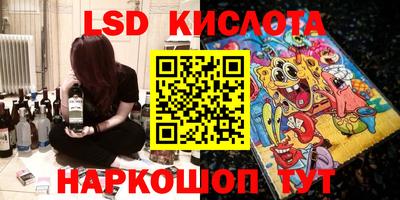 дурь Сланцы