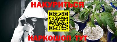 дурь Сланцы