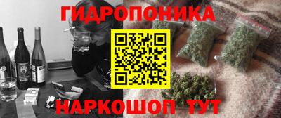 дурь Сланцы